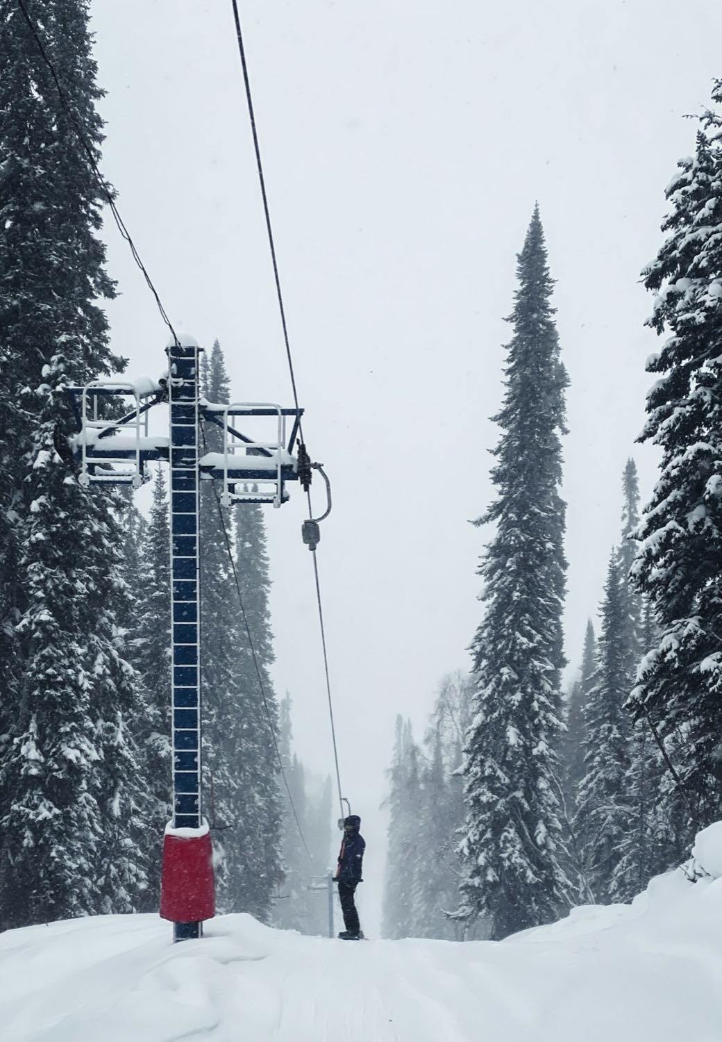 A surface lift tower and a lone rider being towed uphill through heavy snowfall and tall spruce